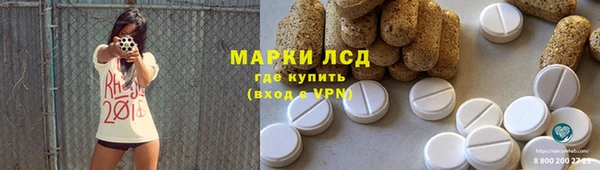 прущие грибы Волосово