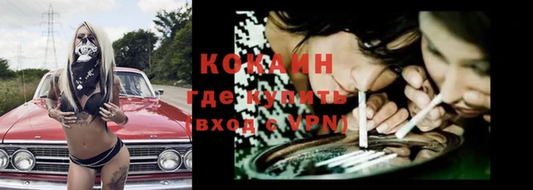 дживик Володарск