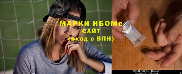 прущие грибы Волосово
