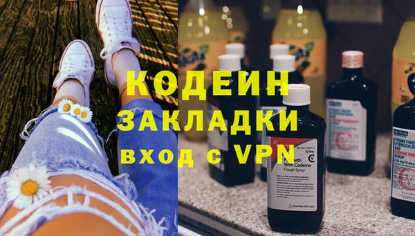 прущие грибы Волосово