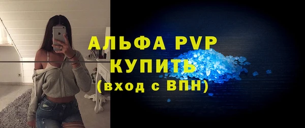 прущие грибы Волосово