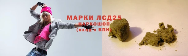 прущие грибы Волосово