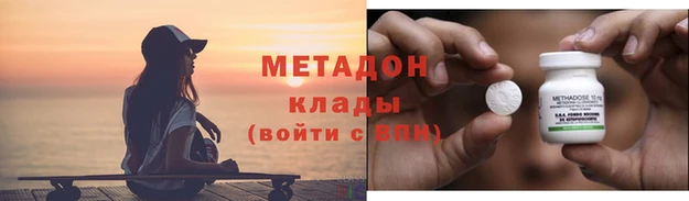 прущие грибы Волосово