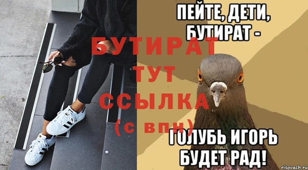 прущие грибы Волосово