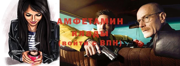 дживик Володарск